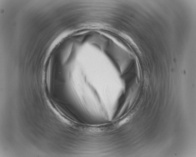 X0000081431424200701261811