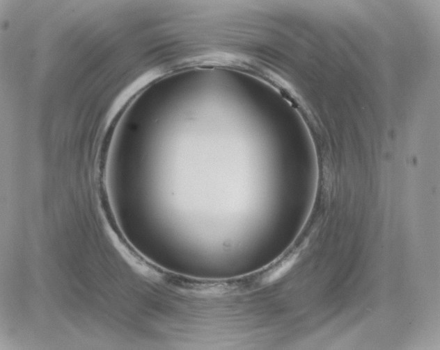 X0000081431426200701261811