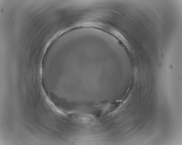 X0000081431428200701261811