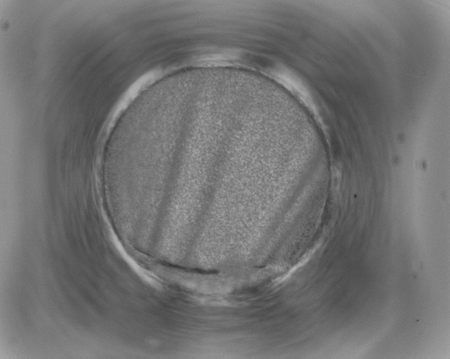 X0000081431429200701261811