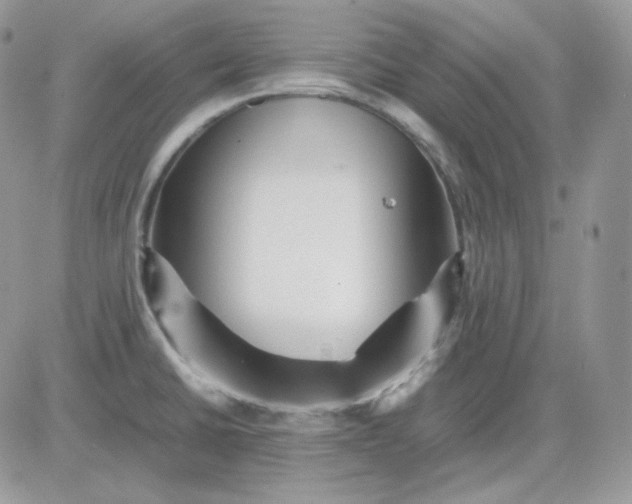 X0000081431430200701261811