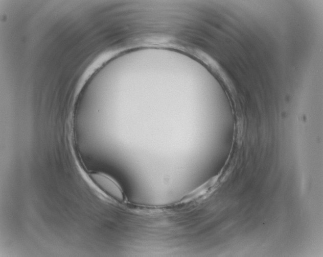 X0000081431432200701261811