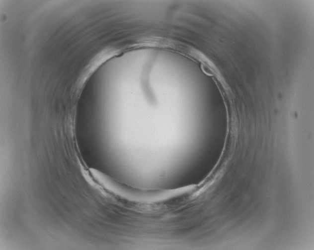 X0000081431433200701261811