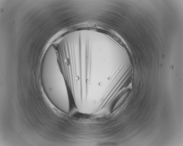 X0000081431434200701261811