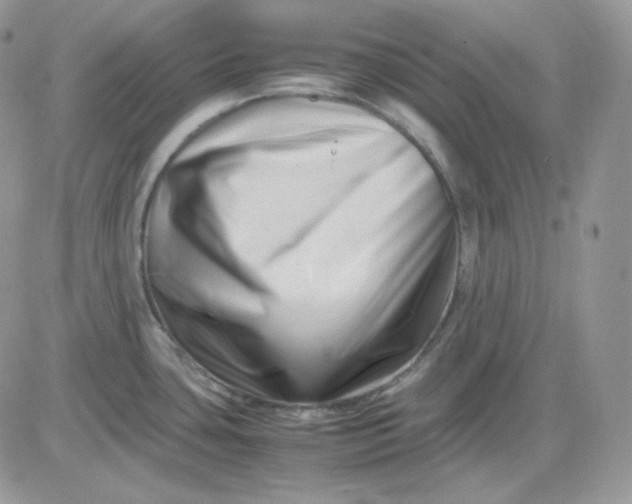 X0000081431435200701261811