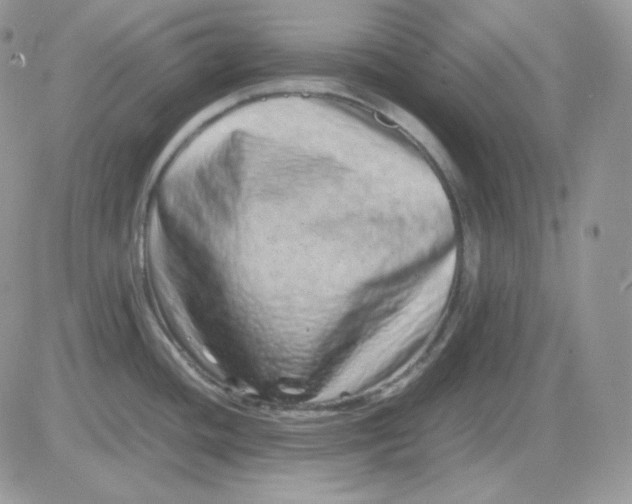 X0000081431436200701261811