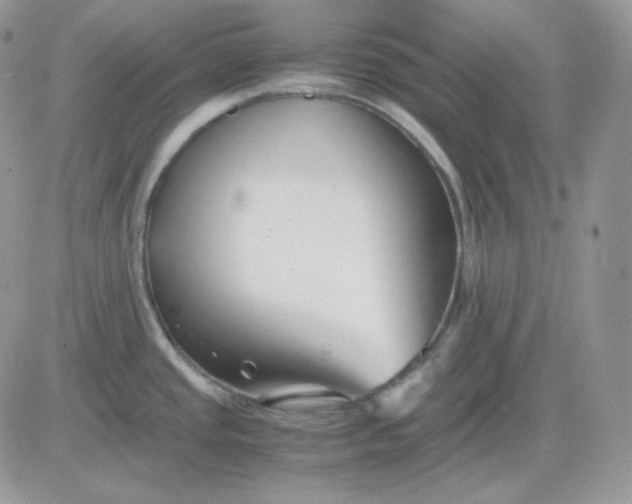 X0000081431437200701261811