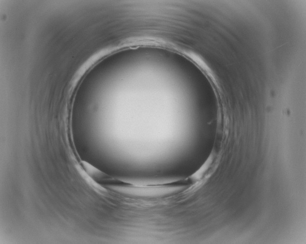 X0000081431438200701261811