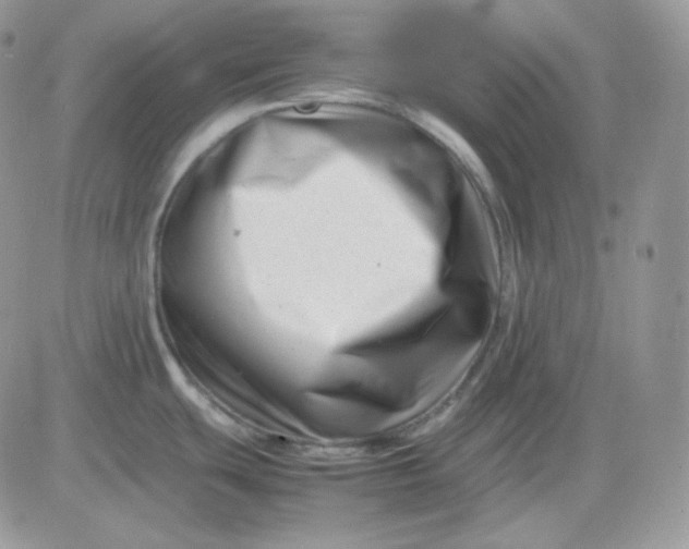 X0000081431439200701261811