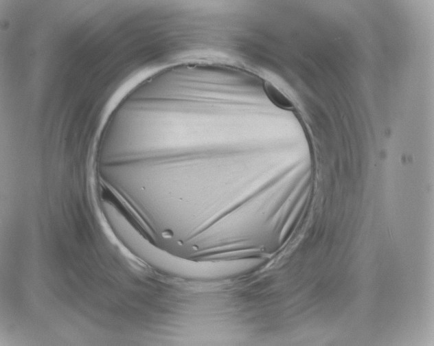 X0000081431440200701261811