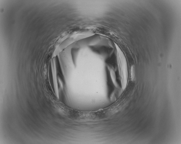 X0000081431443200701261811