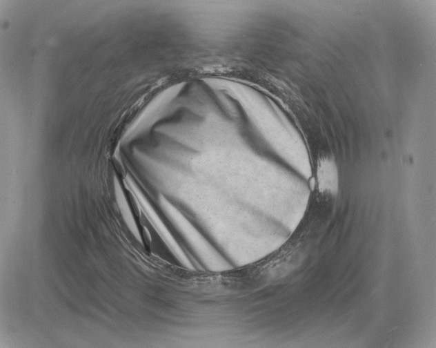 X0000081431444200701261811