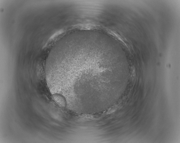 X0000081431446200701261810