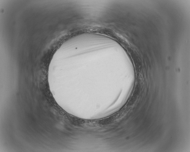 X0000081431447200701261810