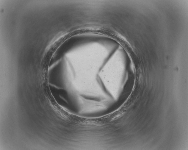 X0000081431448200701261810