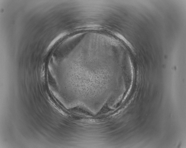 X0000081431450200701261810