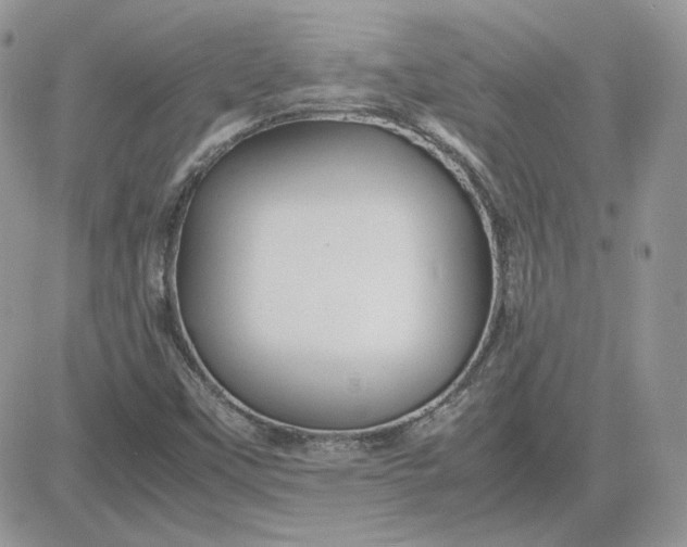 X0000081431451200701261810