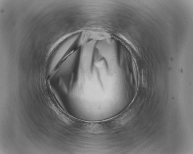 X0000081431452200701261810