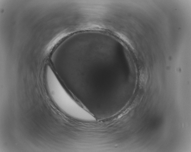 X0000081431455200701261810