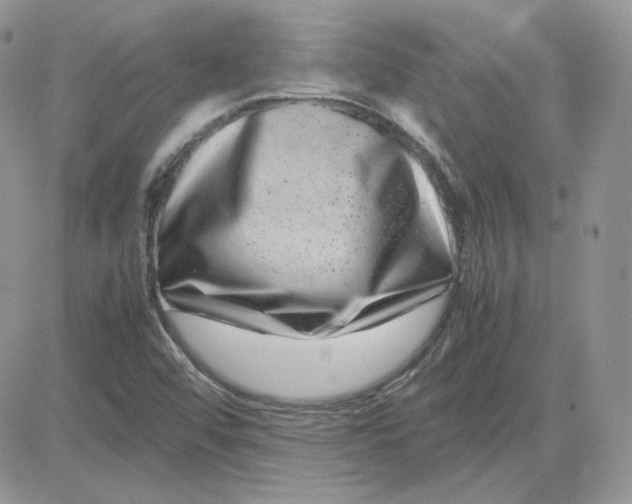 X0000081431456200701261810