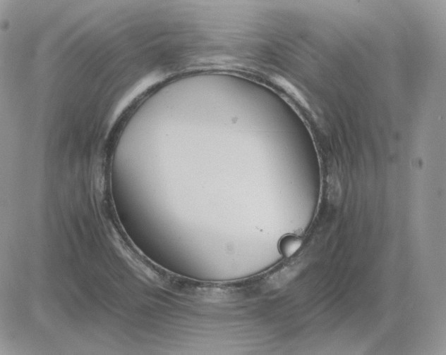 X0000081431458200701261810