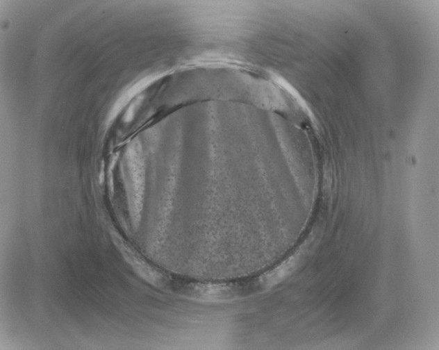 X0000081431461200701261810