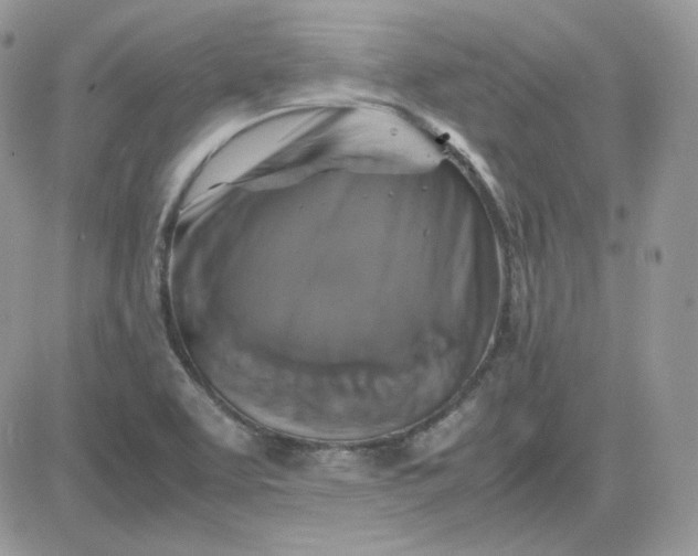 X0000081431463200701261810