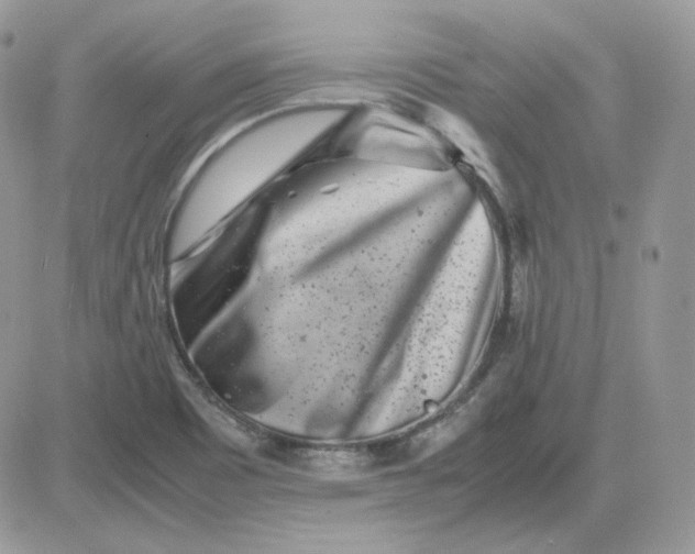 X0000081431465200701261810