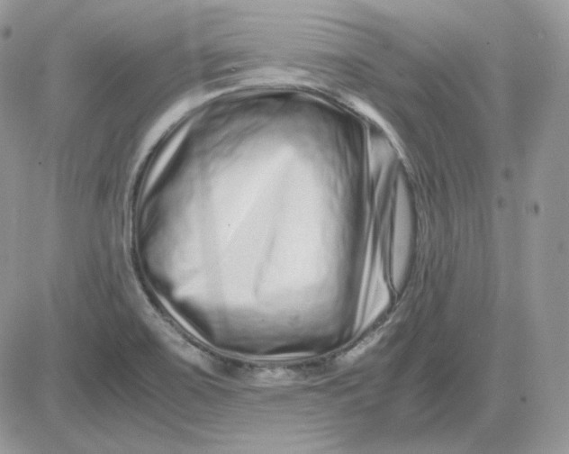 X0000081431467200701261810