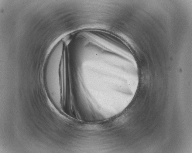 X0000081431468200701261810