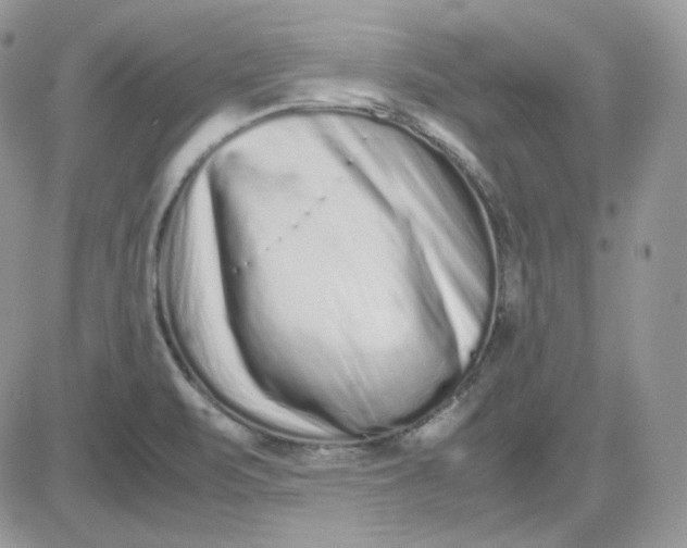 X0000081431471200701261810