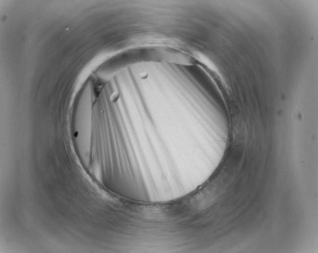 X0000081431472200701261810