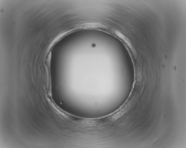 X0000081431473200701261810