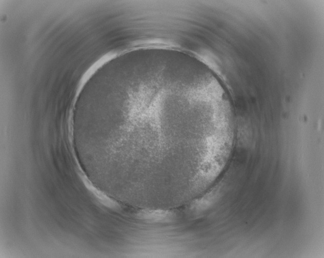 X0000081431474200701261810