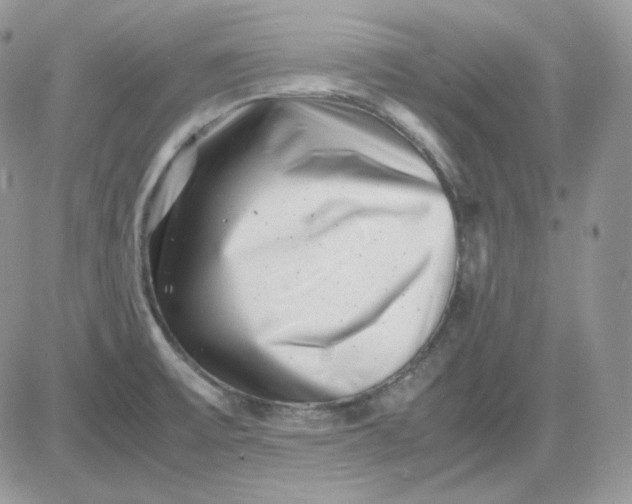 X0000081431475200701261810