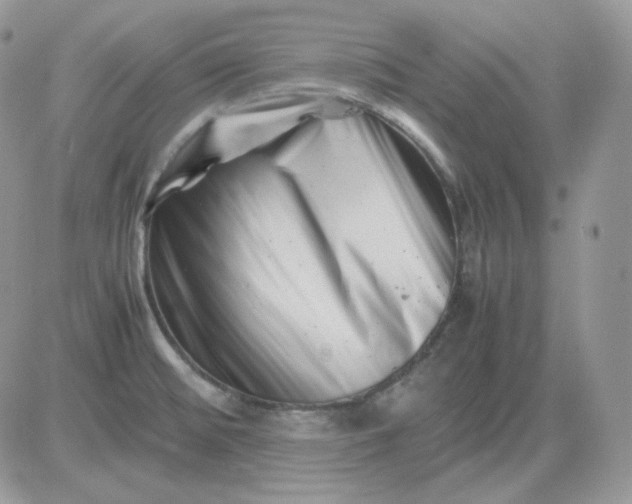 X0000081431476200701261810