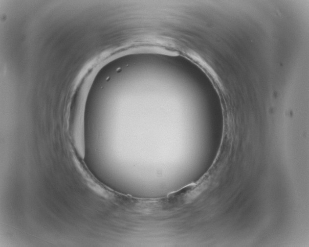 X0000081431477200701261810