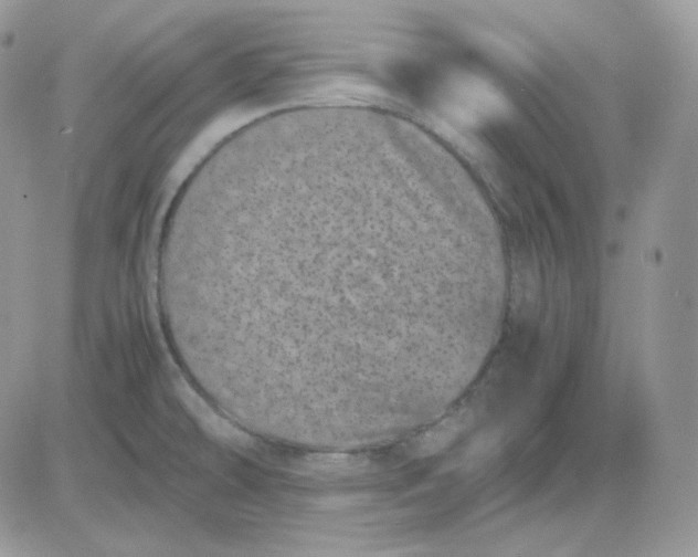 X0000081431478200701261810