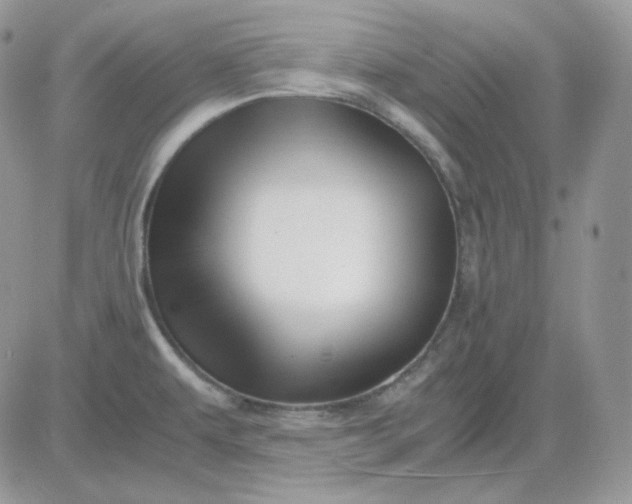 X0000081431479200701261810