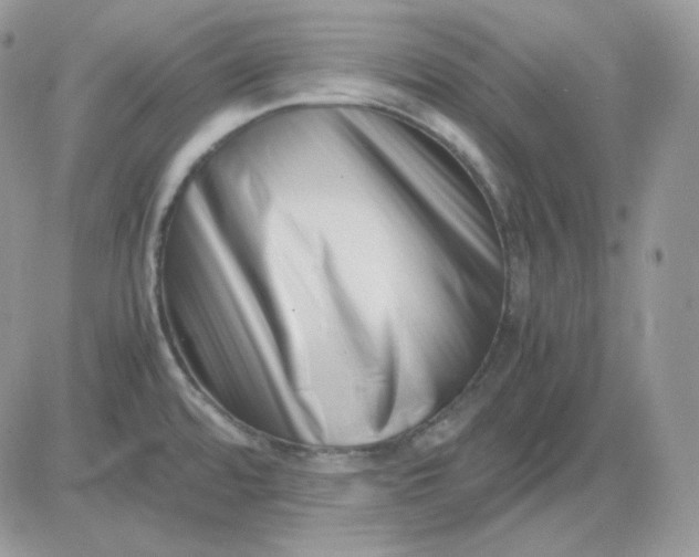 X0000081431480200701261810