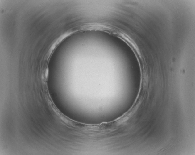 X0000081431481200701261810