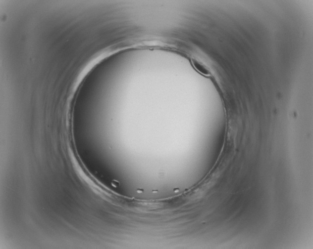 X0000081431483200701261810