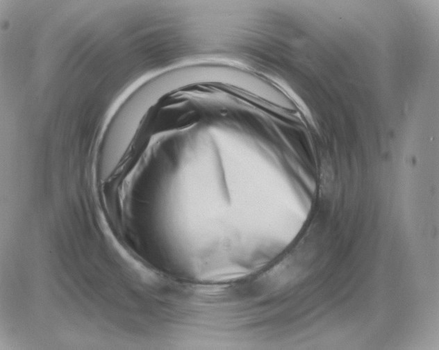 X0000081431484200701261810