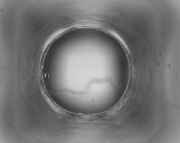 X0000081431485200701261810