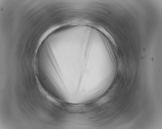 X0000081431486200701261810