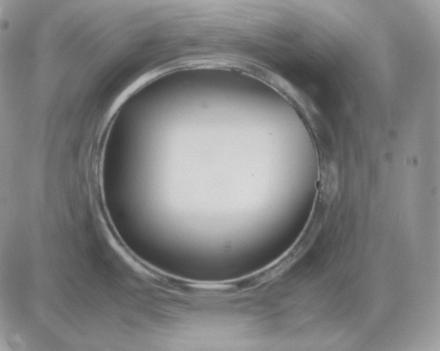 X0000081431487200701261810