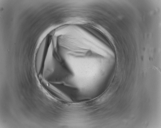 X0000081431488200701261810