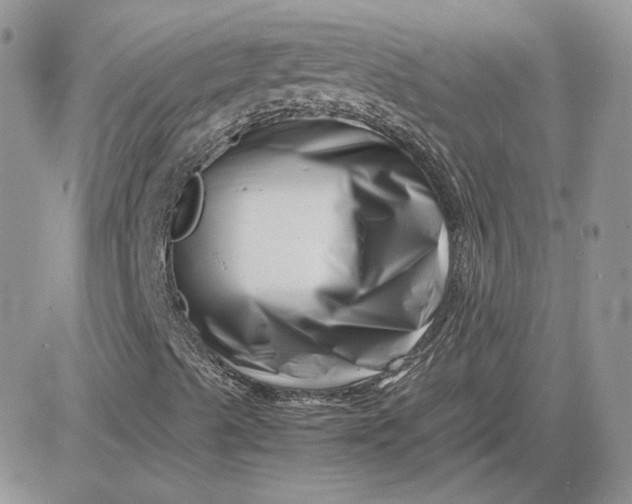 X0000081431489200701261809