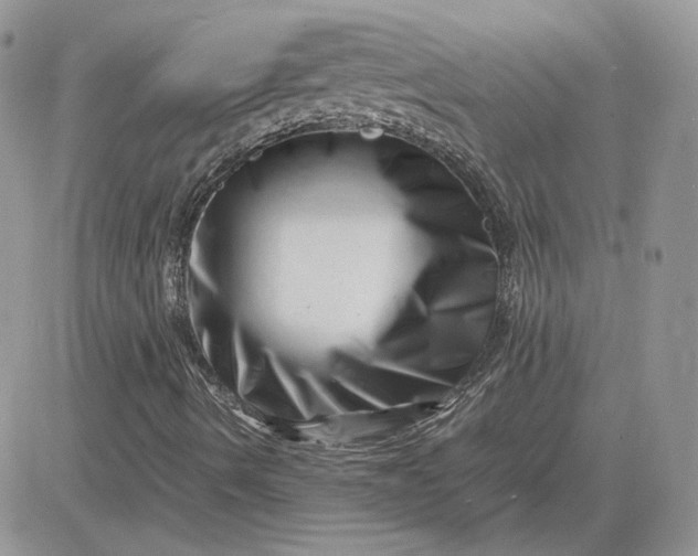 X0000081431490200701261809