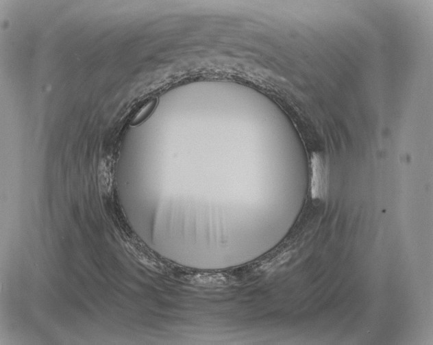 X0000081431491200701261809